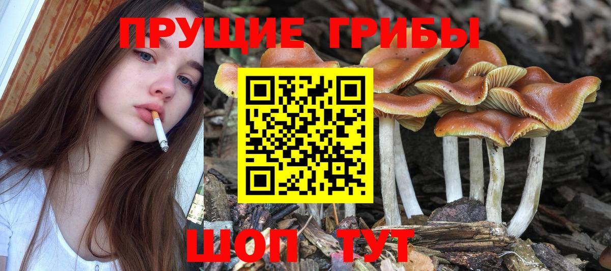 Галлюциногенные грибы ЛСД Прохладный