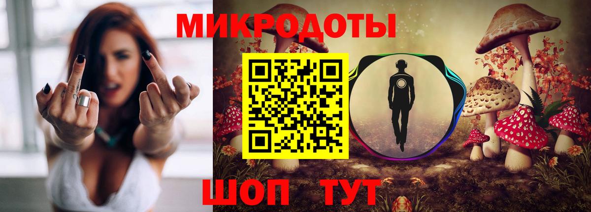 Прохладный  Галлюциногенные грибы мухоморы  Вход с VPN  сколько стоит  Галлюциногенные грибы GOLDEN TEACHER 